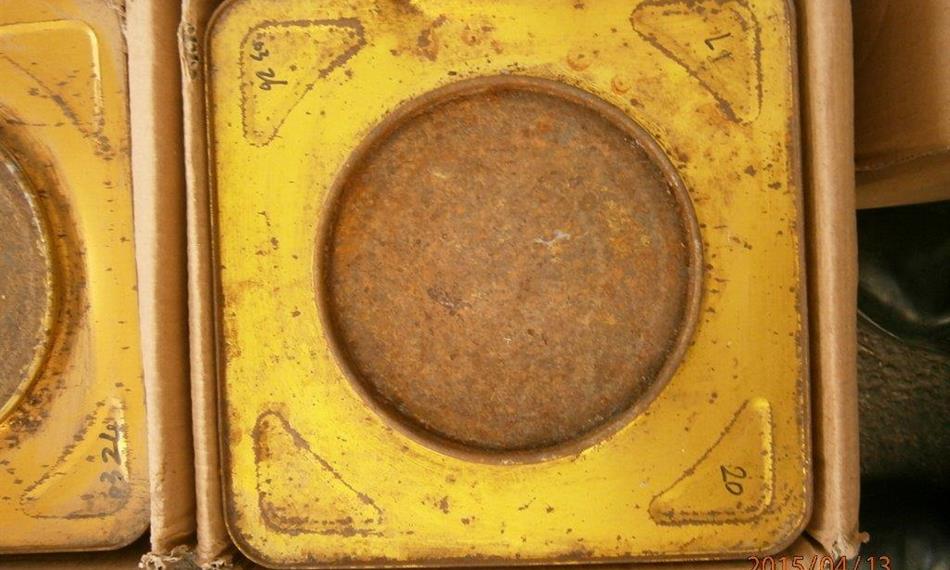 2015-4-20-1153Hostivař - bambus 3.jpg